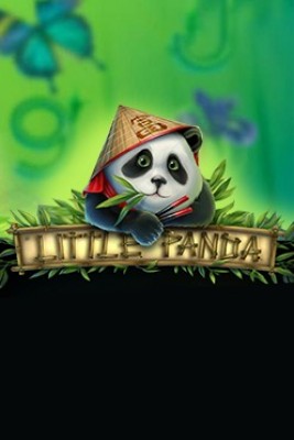 Little Panda