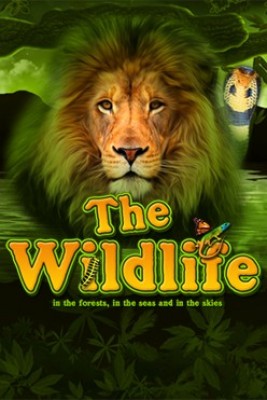 The Wildlife