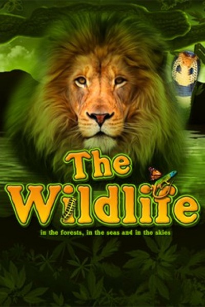 The Wildlife